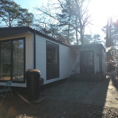 Wulft 47 Zonnig Gezellig 6P Chalet Met Zwembad In Bosrijke Omgeving Op Familie Camping De Vossenburcht IJhorst Ngoại thất bức ảnh