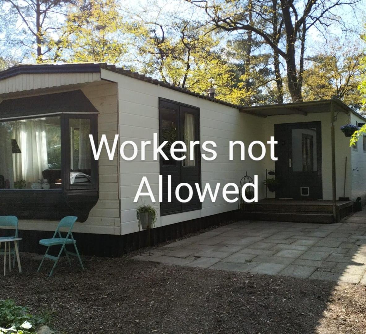 Wulft 47 Zonnig Gezellig 6P Chalet Met Zwembad In Bosrijke Omgeving Op Familie Camping De Vossenburcht IJhorst Ngoại thất bức ảnh