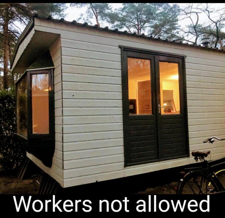 Wulft 47 Zonnig Gezellig 6P Chalet Met Zwembad In Bosrijke Omgeving Op Familie Camping De Vossenburcht IJhorst Ngoại thất bức ảnh