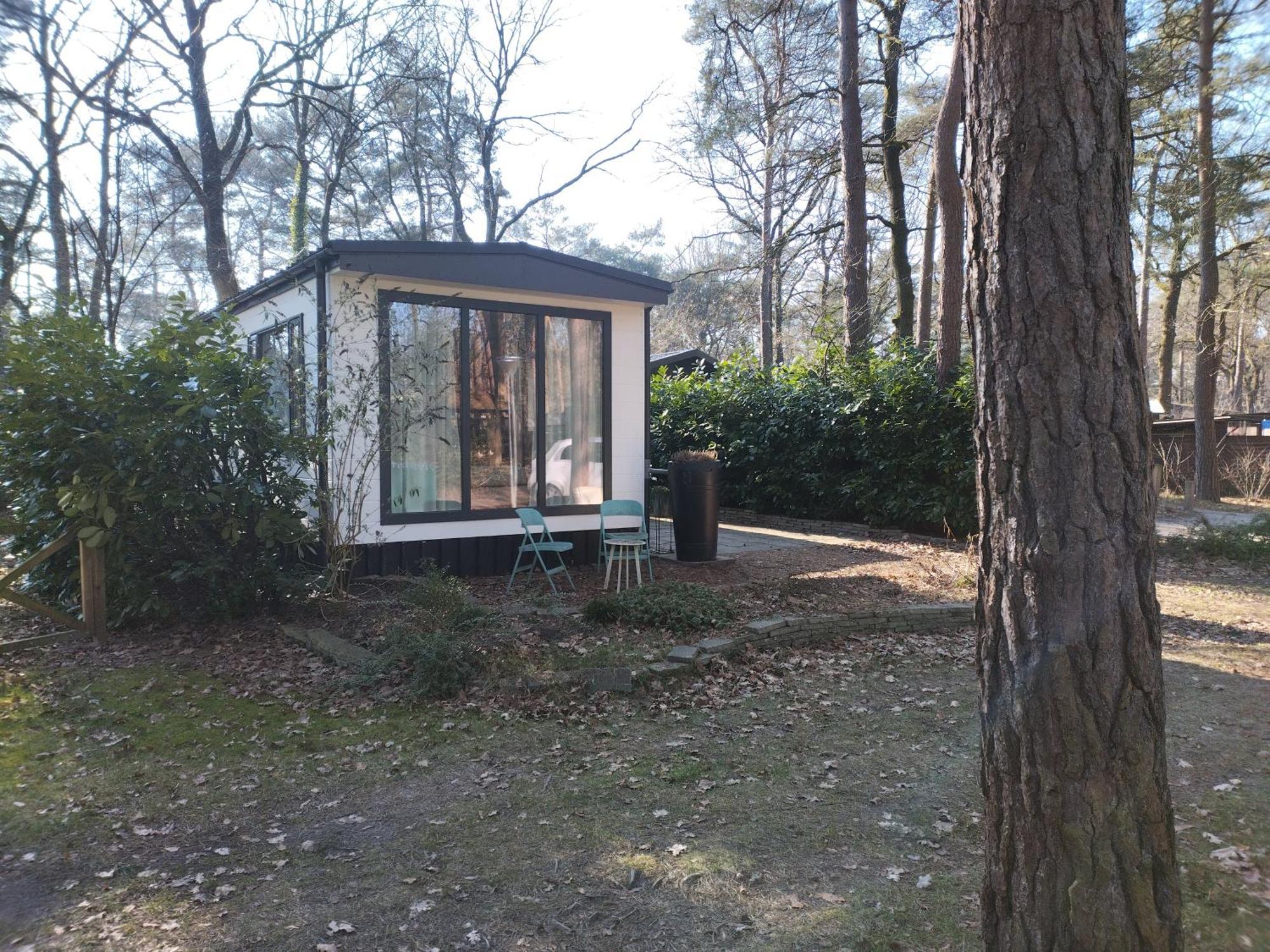 Wulft 47 Zonnig Gezellig 6P Chalet Met Zwembad In Bosrijke Omgeving Op Familie Camping De Vossenburcht IJhorst Ngoại thất bức ảnh