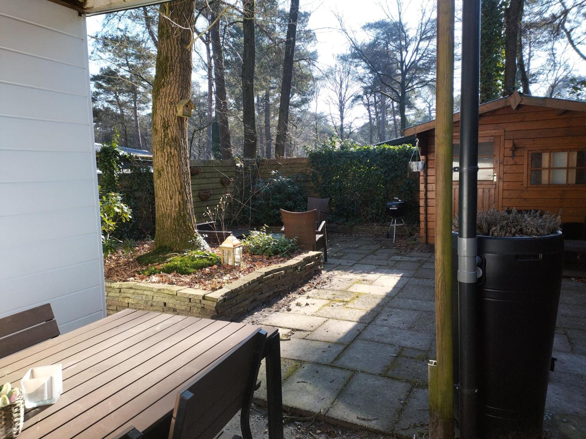 Wulft 47 Zonnig Gezellig 6P Chalet Met Zwembad In Bosrijke Omgeving Op Familie Camping De Vossenburcht IJhorst Ngoại thất bức ảnh