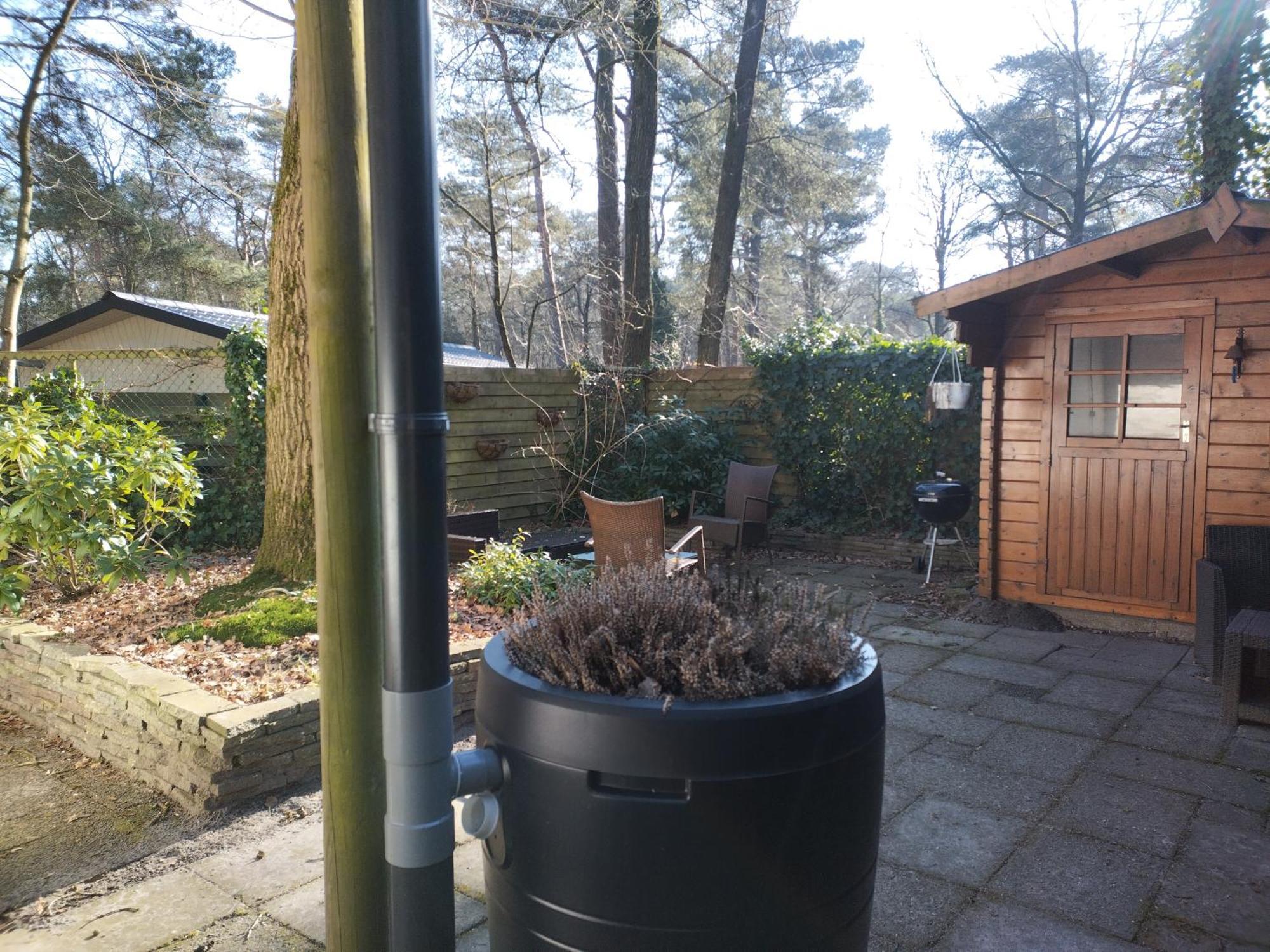 Wulft 47 Zonnig Gezellig 6P Chalet Met Zwembad In Bosrijke Omgeving Op Familie Camping De Vossenburcht IJhorst Ngoại thất bức ảnh