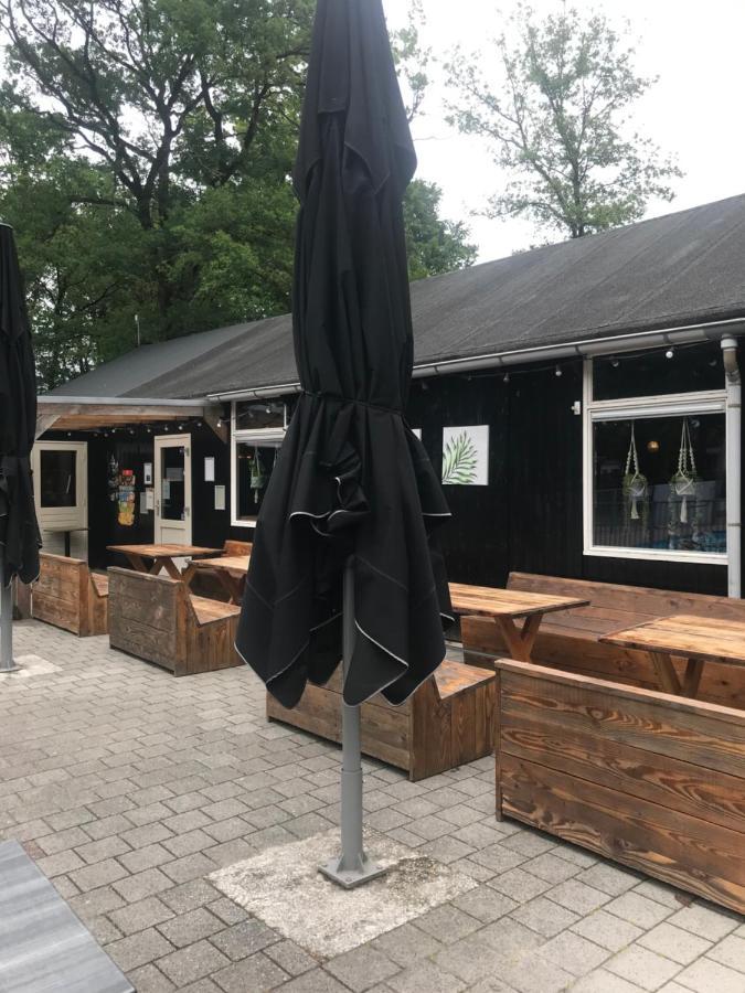 Wulft 47 Zonnig Gezellig 6P Chalet Met Zwembad In Bosrijke Omgeving Op Familie Camping De Vossenburcht IJhorst Ngoại thất bức ảnh