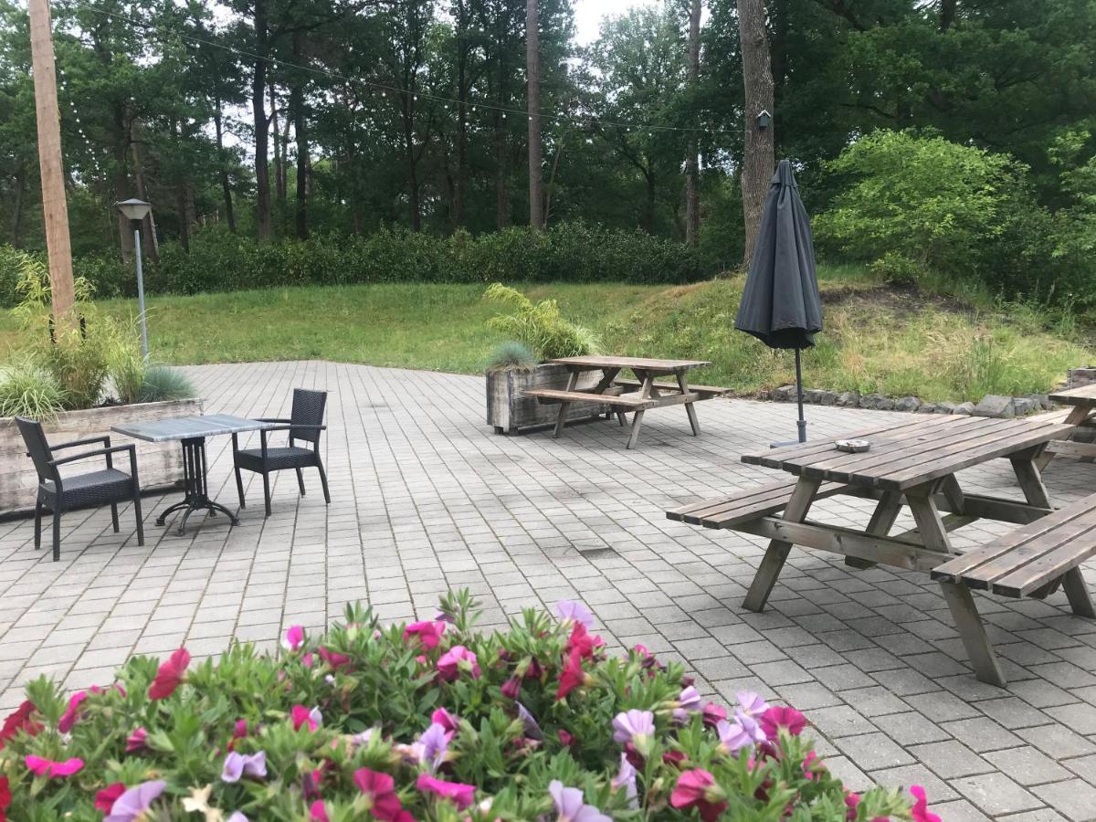 Wulft 47 Zonnig Gezellig 6P Chalet Met Zwembad In Bosrijke Omgeving Op Familie Camping De Vossenburcht IJhorst Ngoại thất bức ảnh